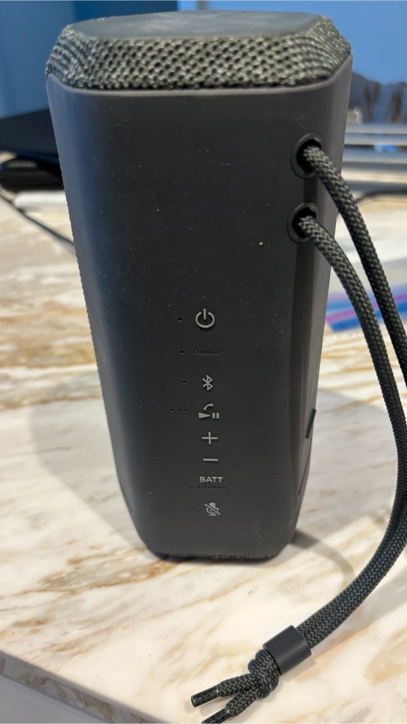 Sony Portable Bluetooth Speaker