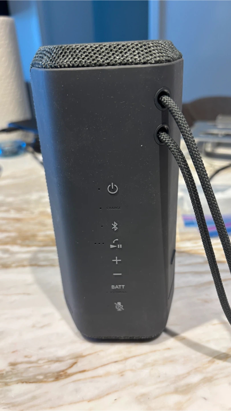 Sony Portable Bluetooth Speaker - photo 3