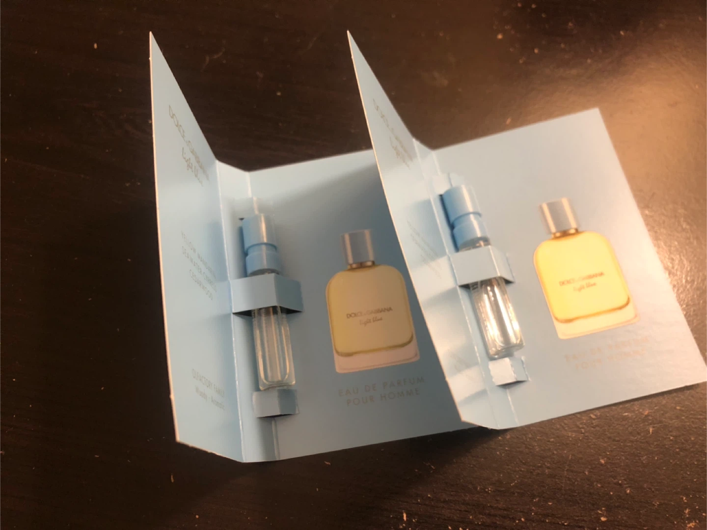 Dolce & Gabbana Light Blue Eau de Parfum Pour Homme Samples - photo 2