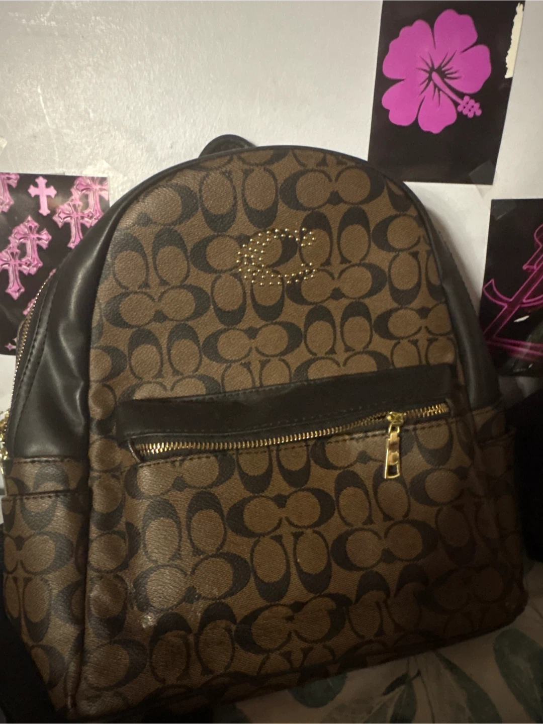 Coach Signature Backpack