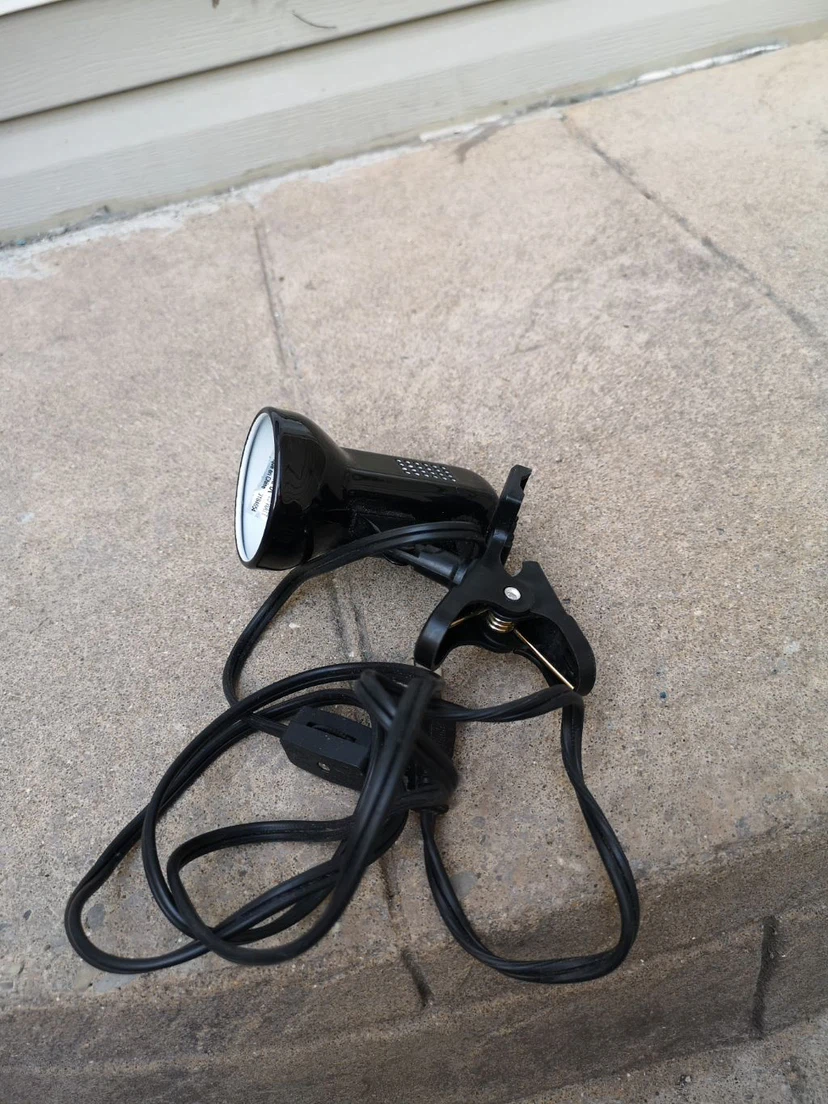 Black Clip-On Lamp