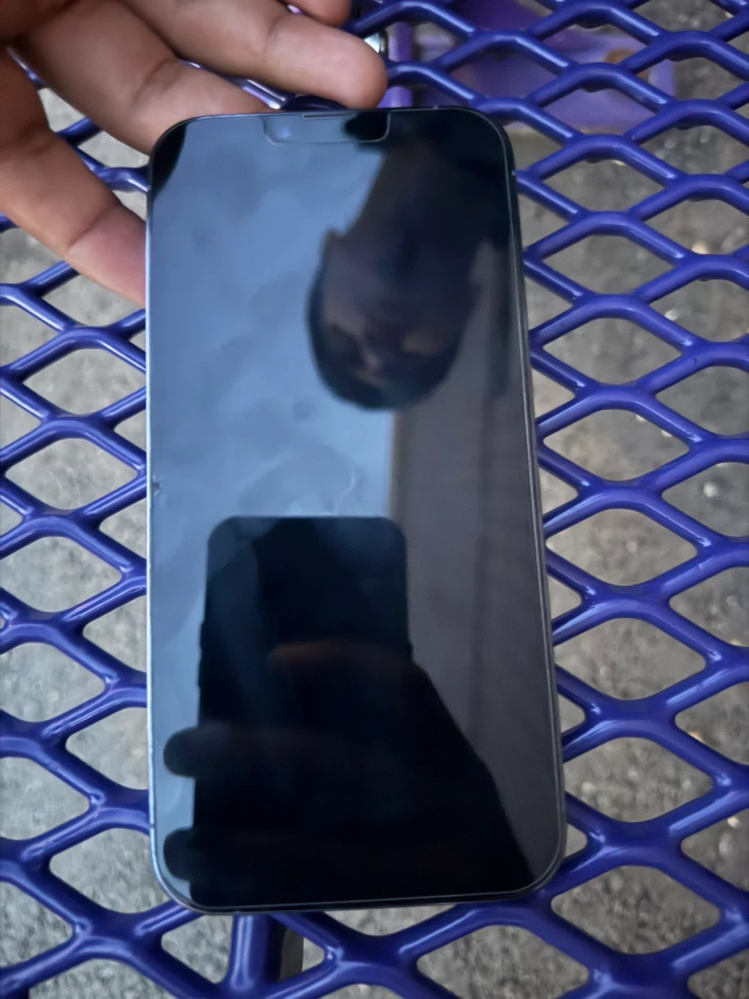 Apple iPhone 13 Pro Max