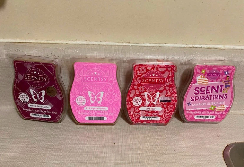 Scentsy Etched Core With Wax Warmer Melts - photo 4