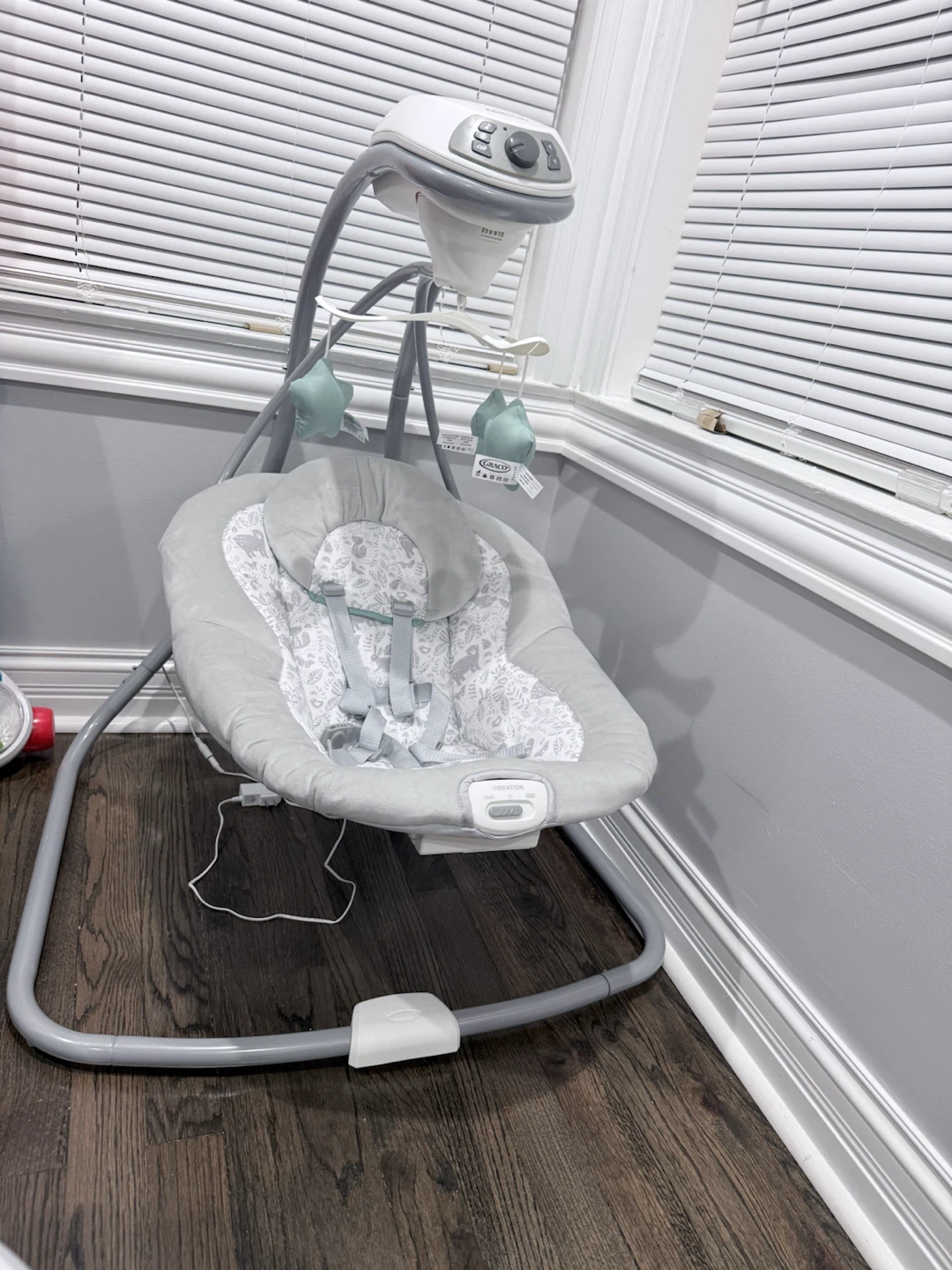 Graco Baby Swing