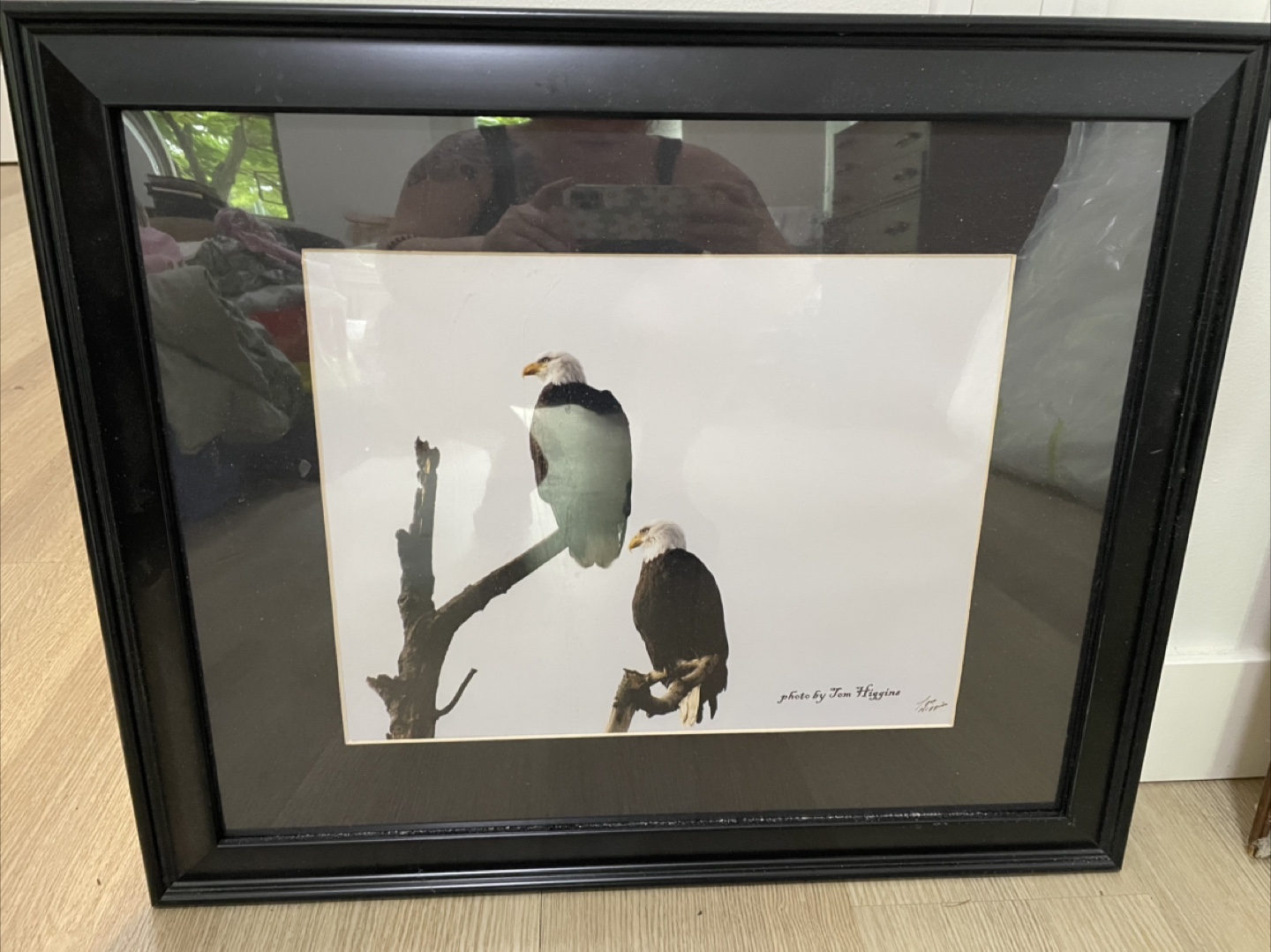Framed Eagle Photograph