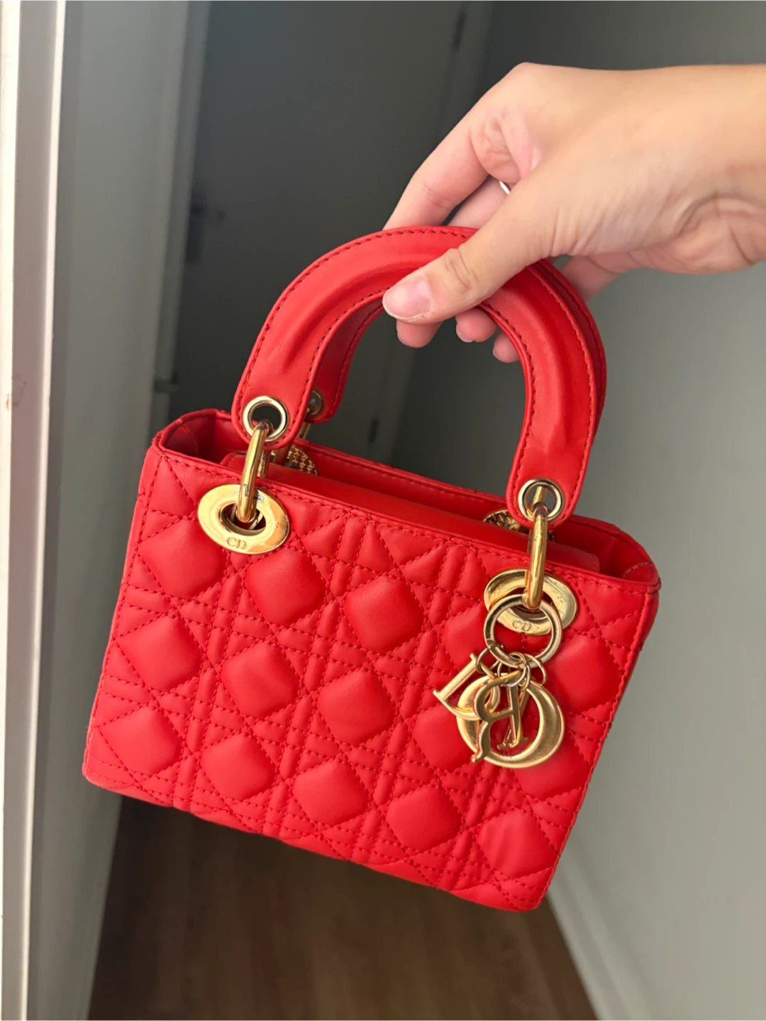Christian Dior Lady Dior handbag