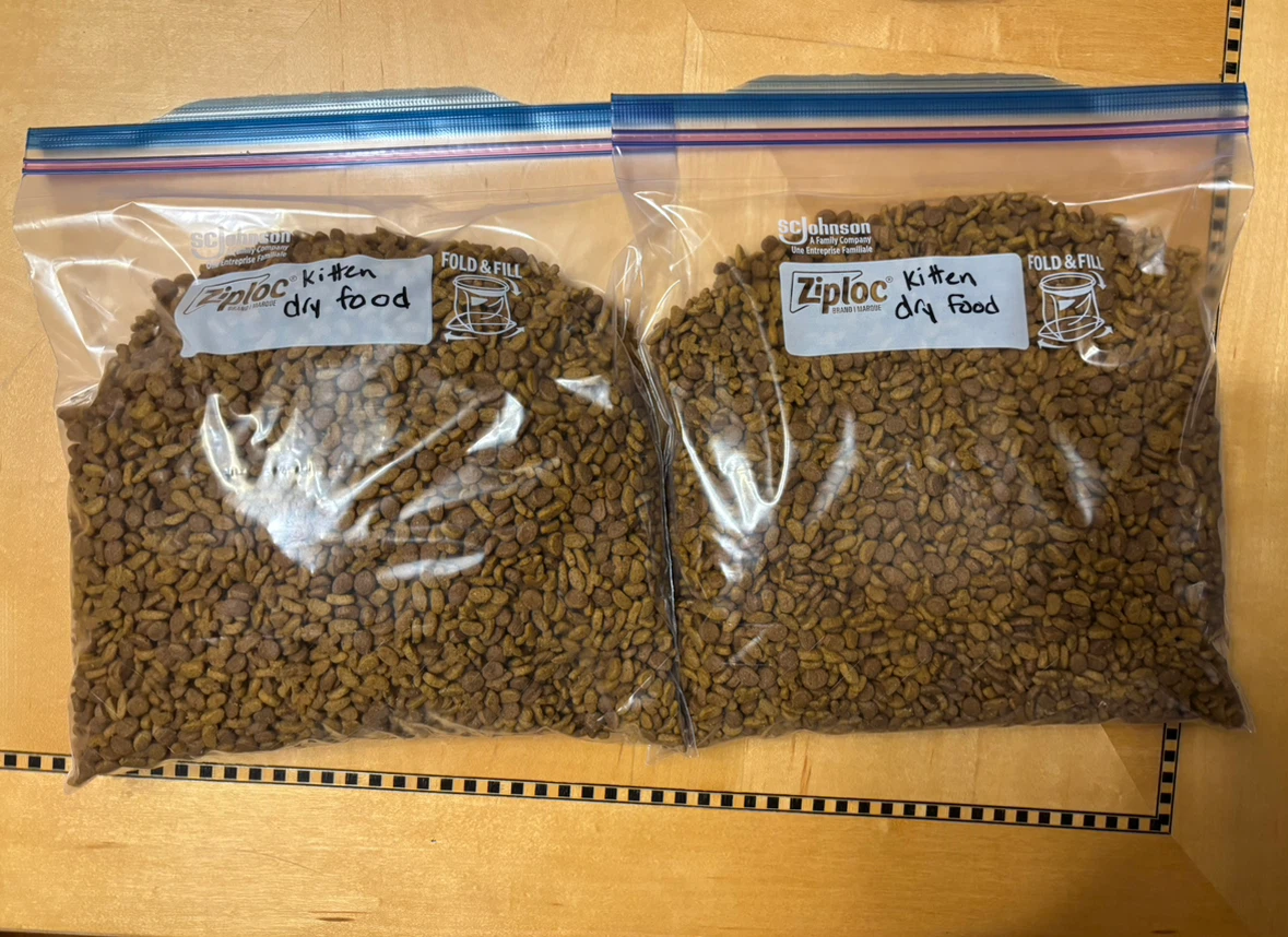 Kitten dry food