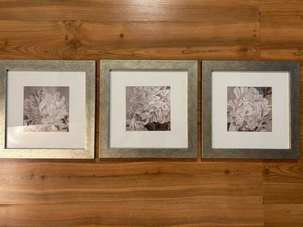 Set of 3 Framed Floral Prints