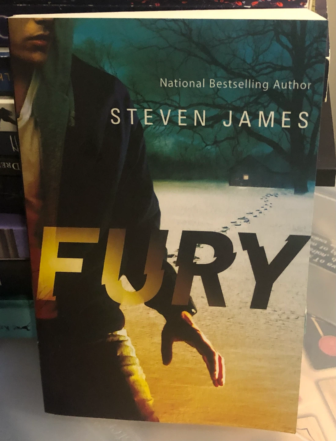 Fury by Steven James Paperback Book