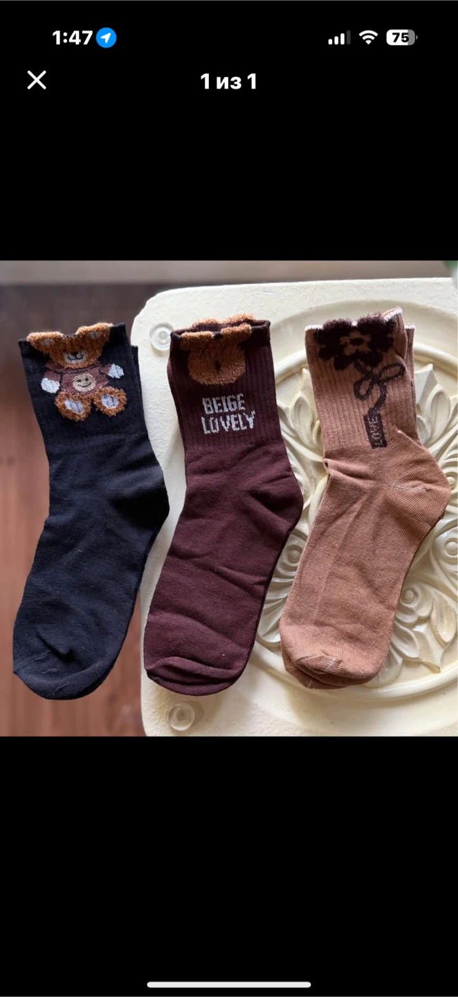 BRAND NEW Cute Teddy Bear Socks - 3 Pairs