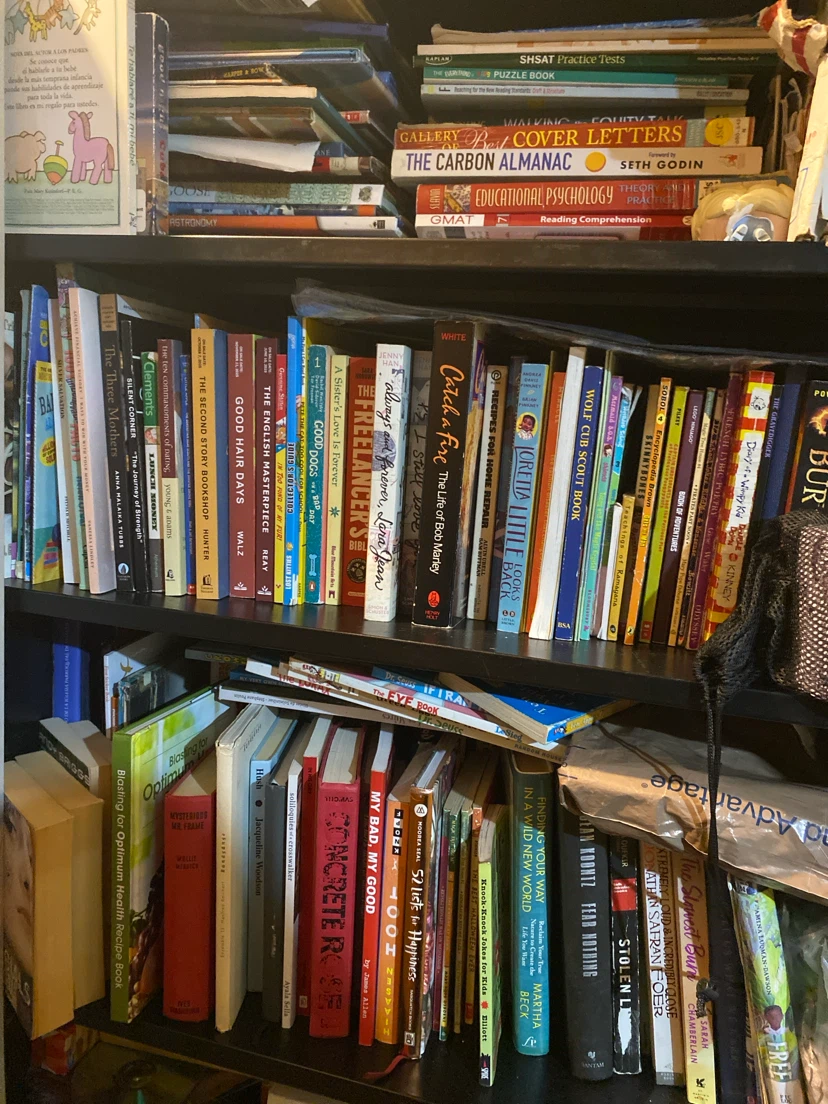 Assorted Books Collection