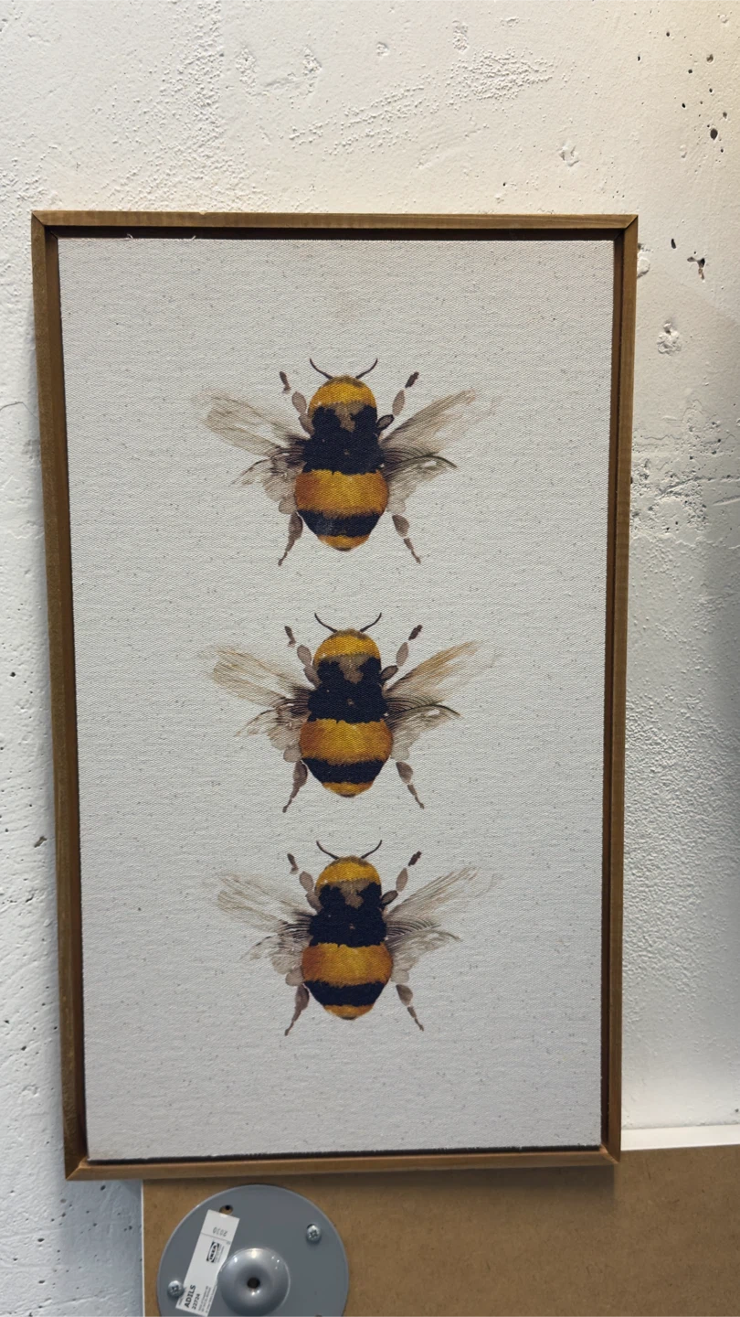 Loblaws Bumblebee Framed Canvas Art
