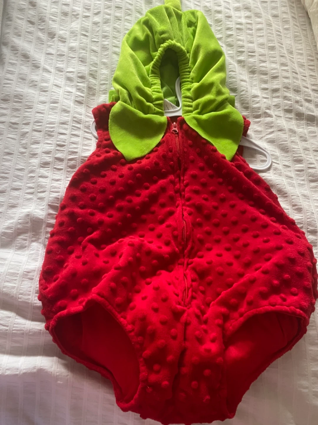 Red Strawberry Plush Costume
