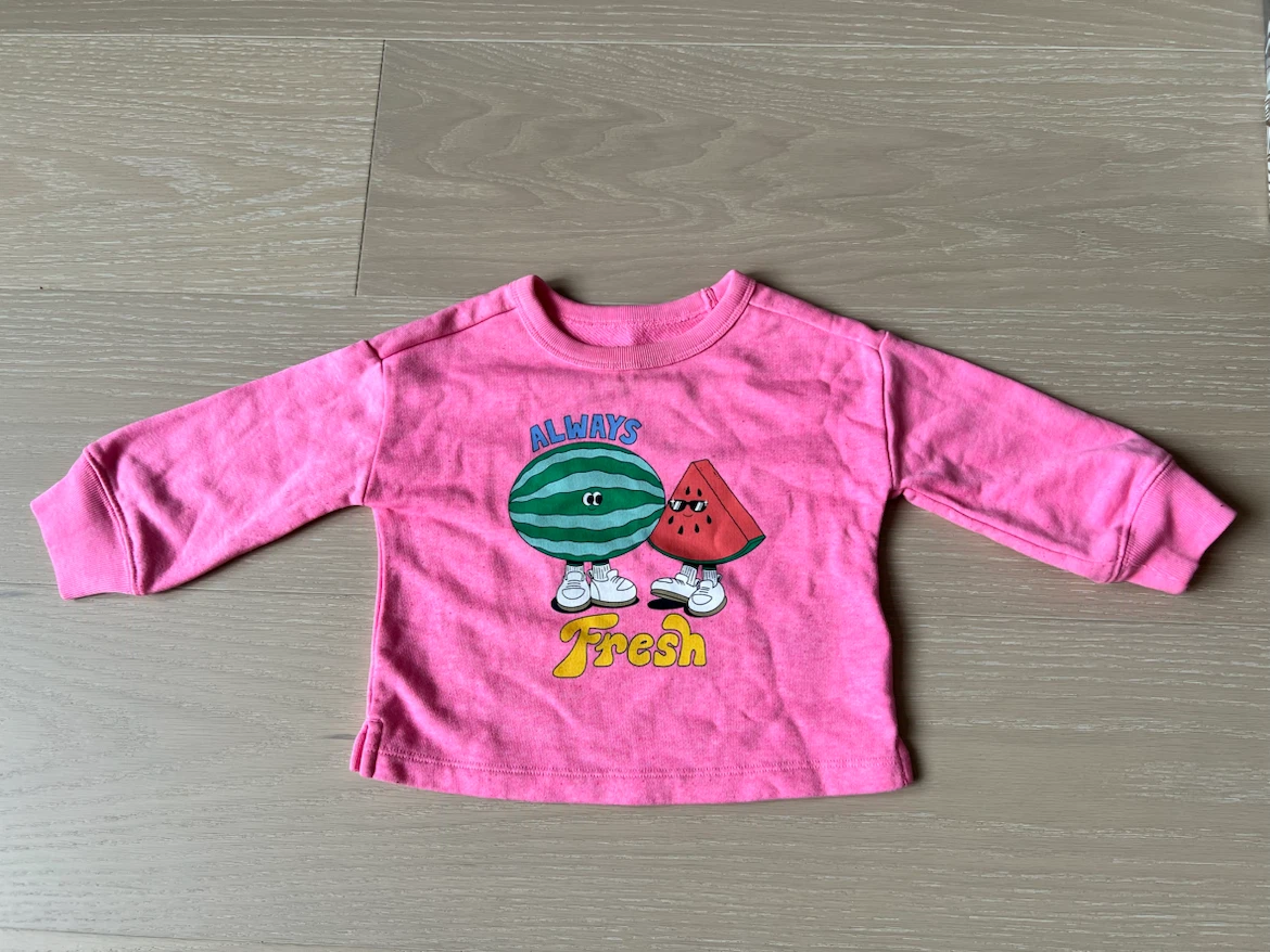 Baby Gap "Always Fresh" Graphic Sweatshirt