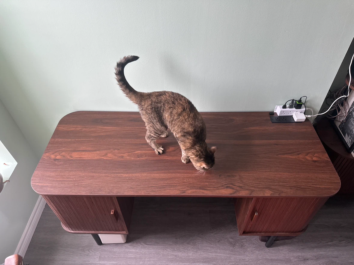Mid-Century Modern Style Walnut Veneer Desk with Tambour Doors - photo 2