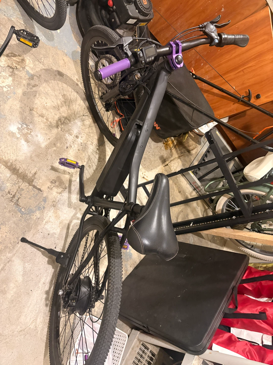 Electric mountain bike