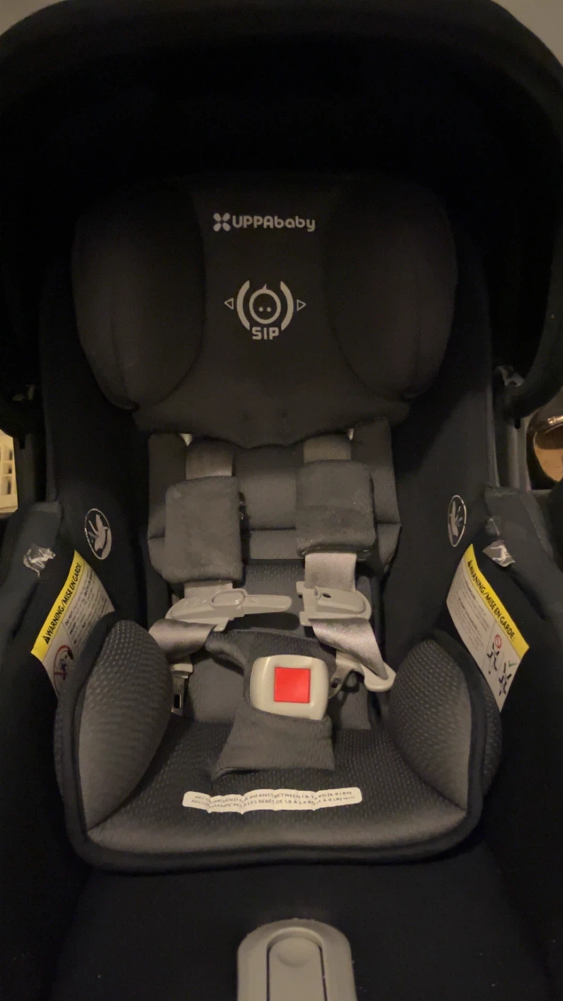 UPPAbaby MESA Infant Car Seat and base - photo 2