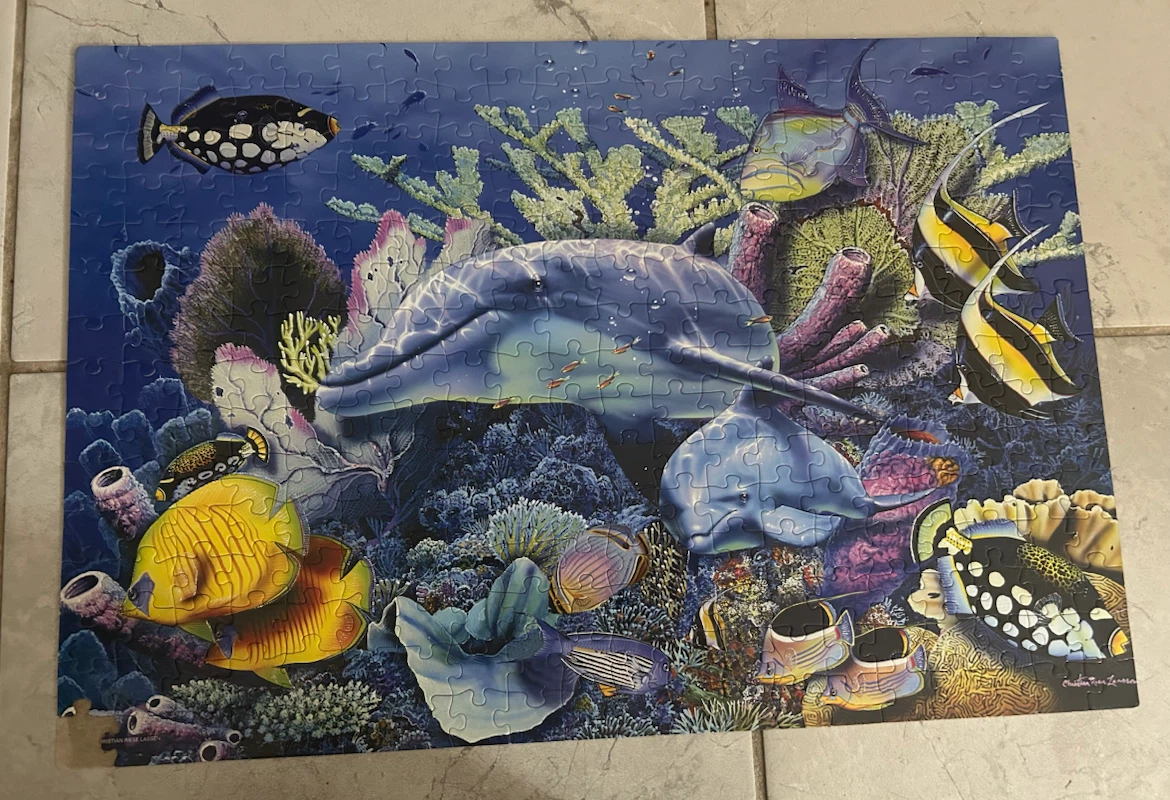Dolphin and Coral Reef Jigsaw Puzzle