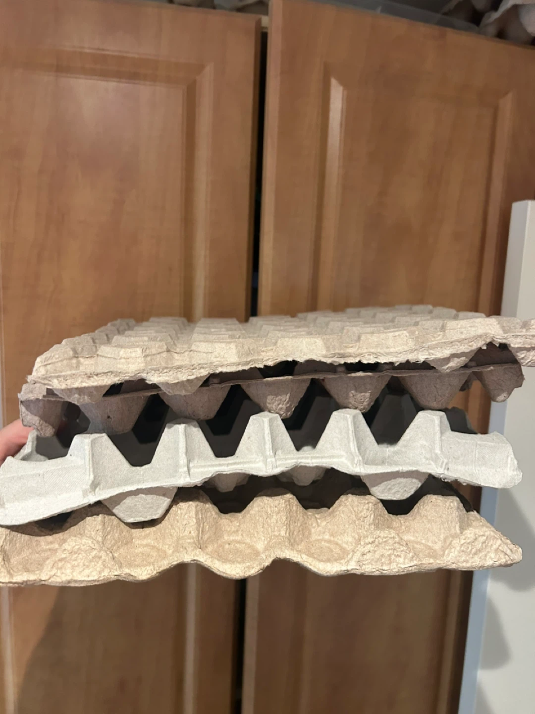 Used Egg Cartons - Various Types