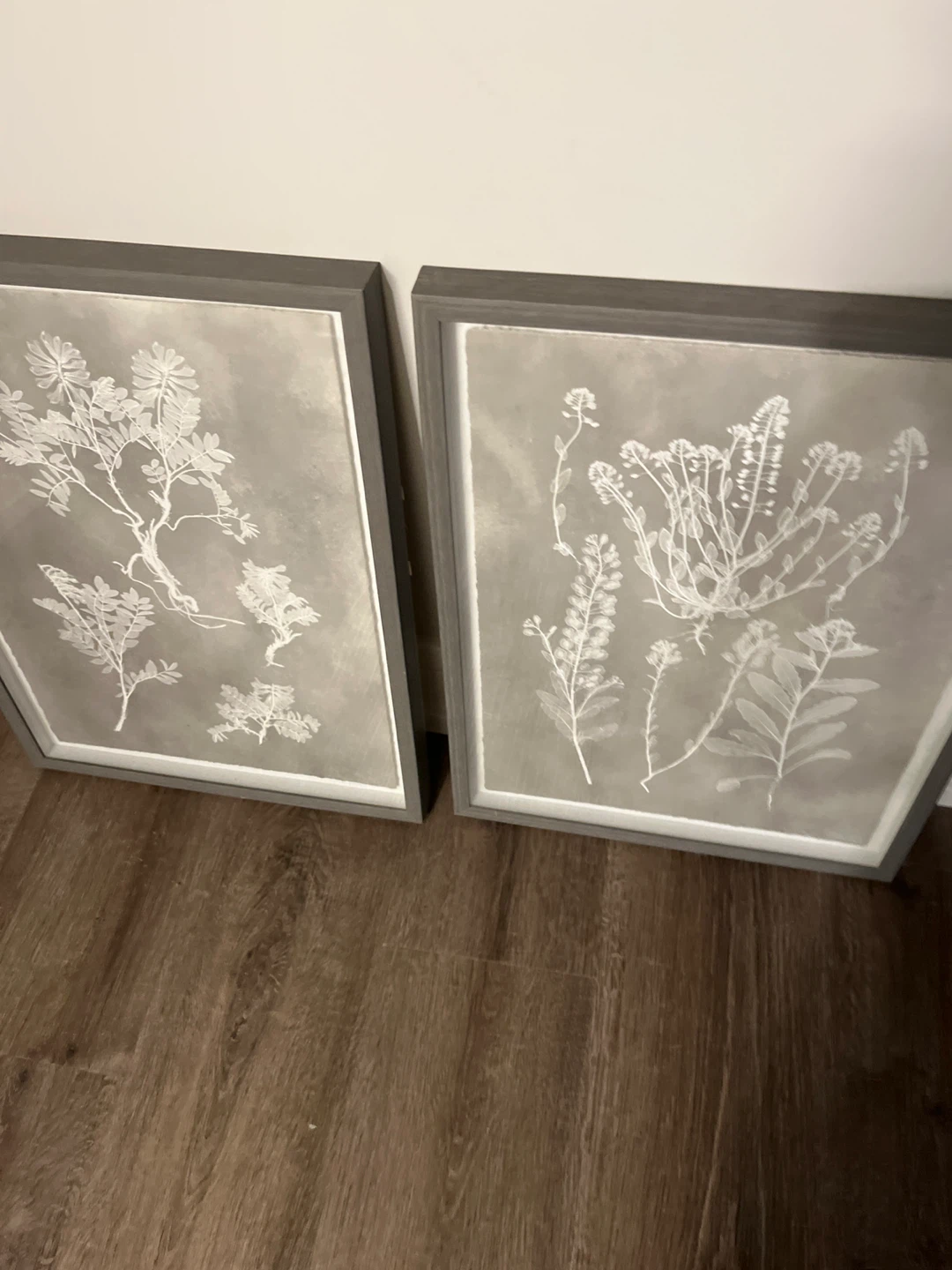 Set of 2 Framed Botanical Prints