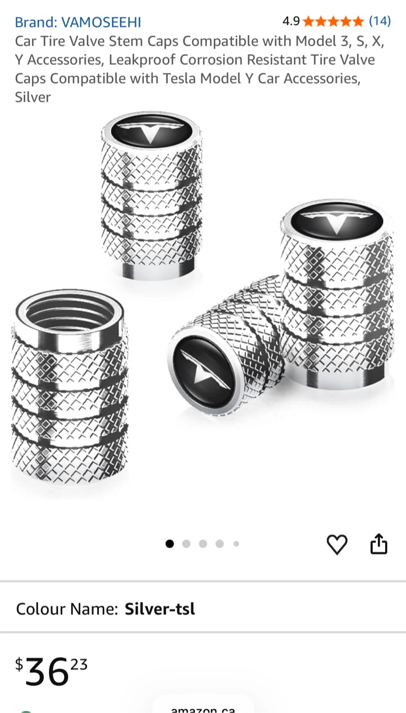 Silver Tesla Tire Valve Caps - photo 5