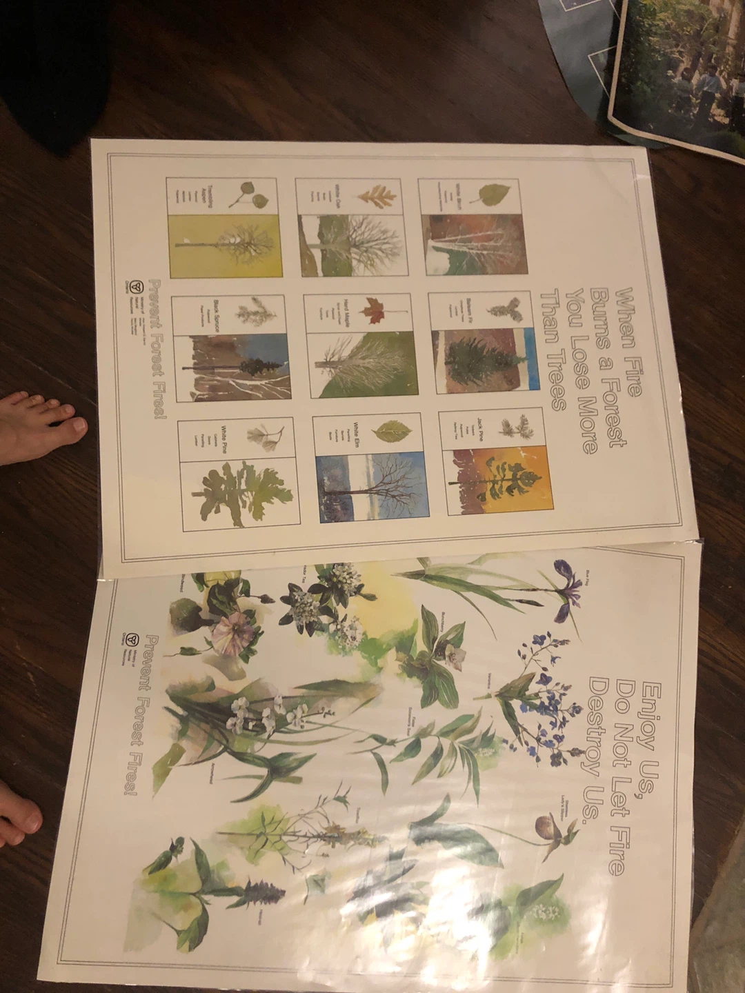Primary school science materials
