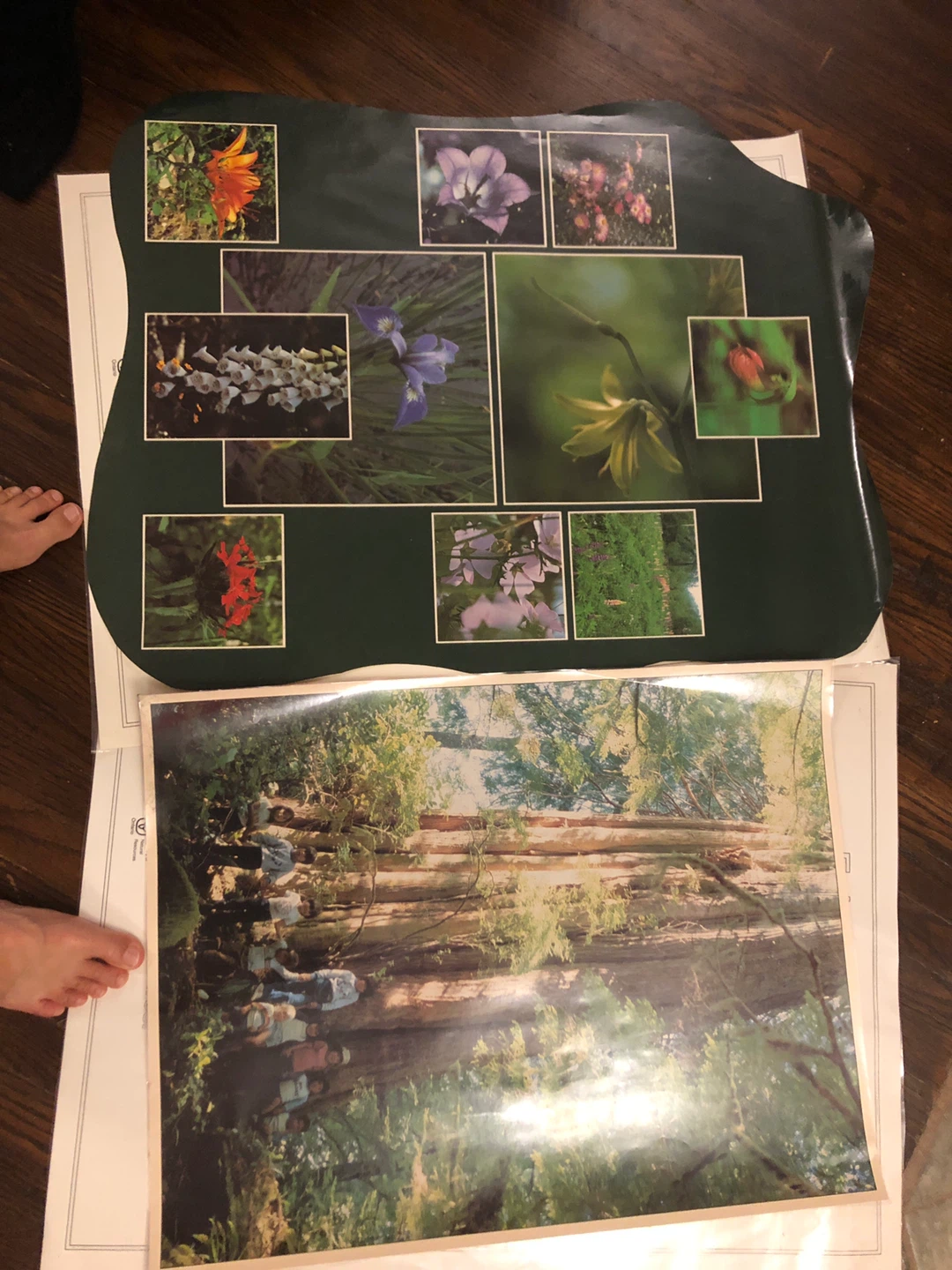 Primary school science materials - photo 2