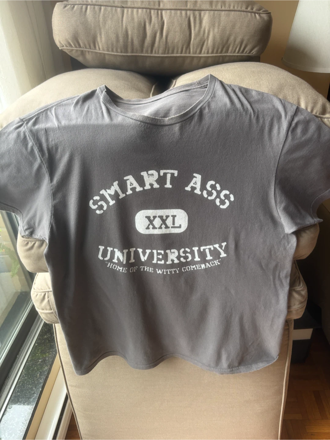 Smart Ass University T-Shirt grey size L/XL