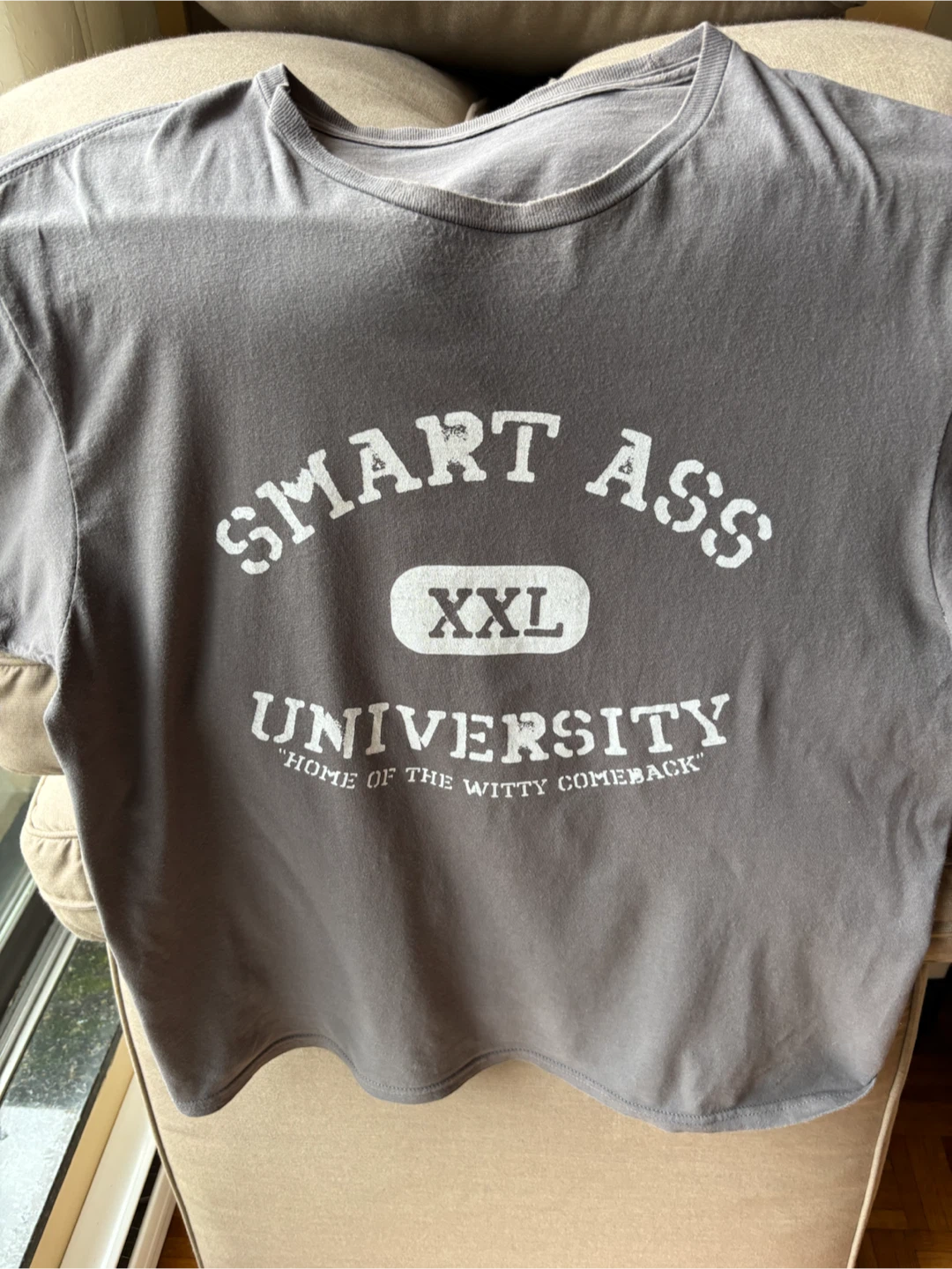 Smart Ass University T-Shirt grey size L/XL - photo 2
