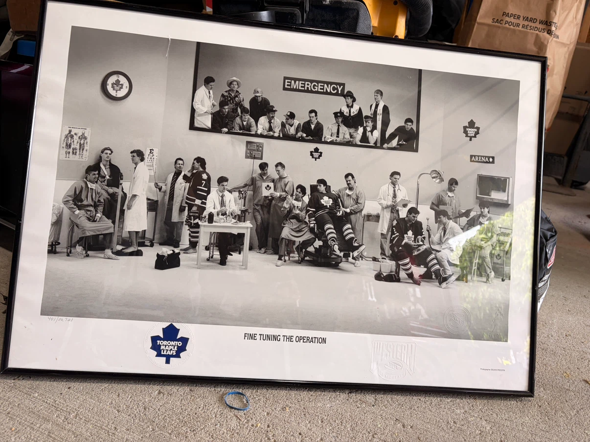 Complete Maple Leafs "Quintology" Framed Set – Matching #401