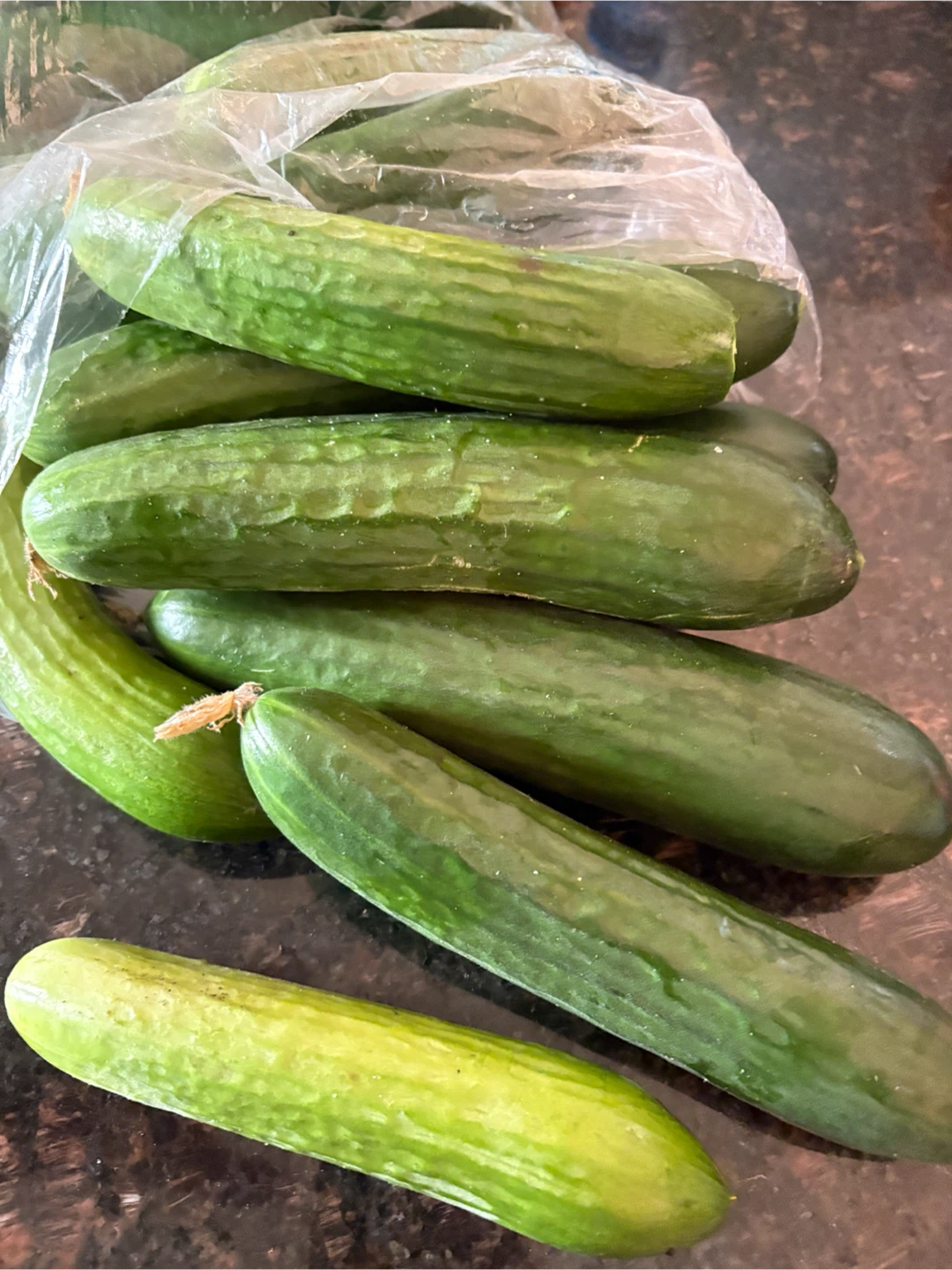 Bag of Cucumbers