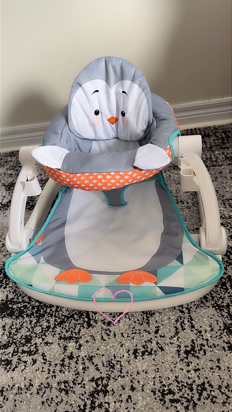 Fisher-Price Sit-Me-Up Seat