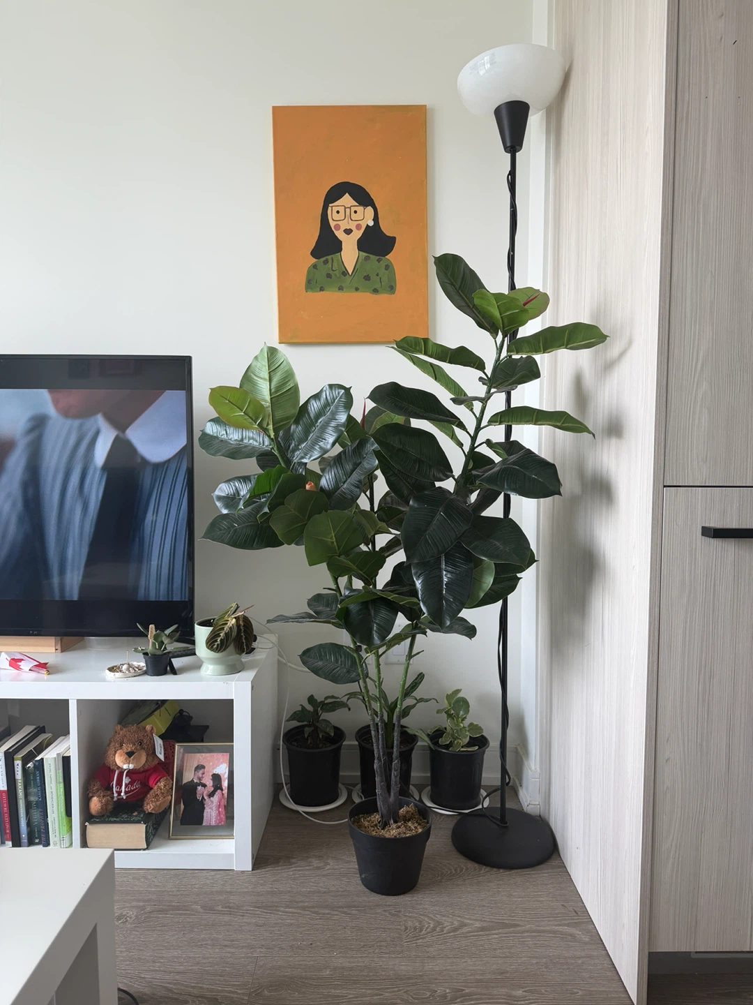 Artificial Large Rubber Plant in Pot