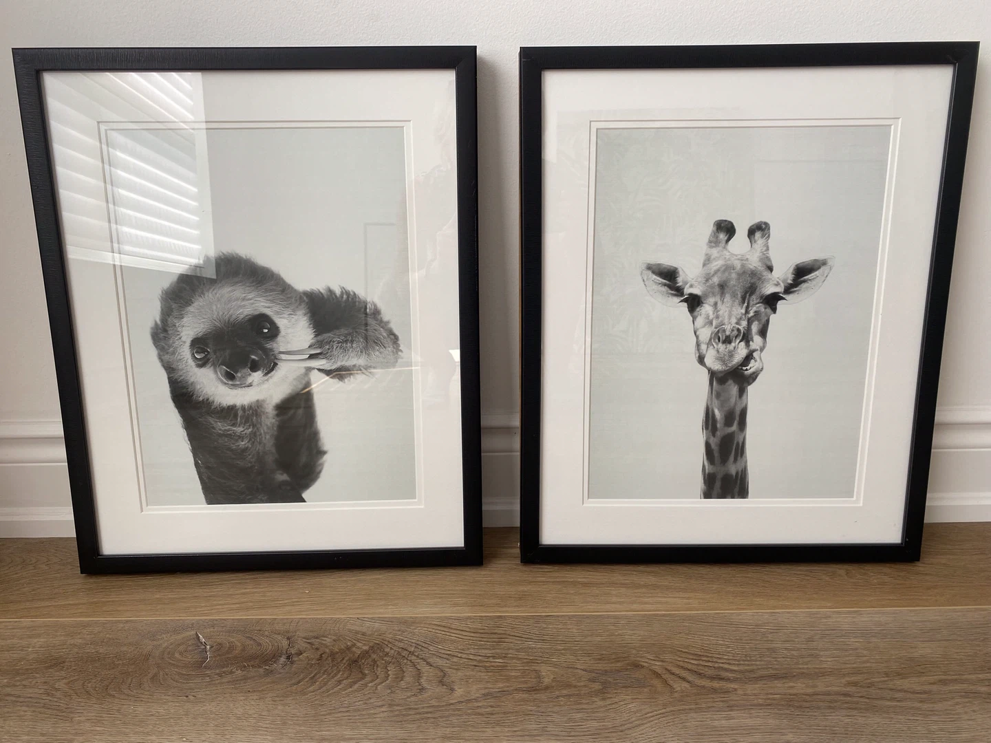 Cute Pair of Animal Art Print