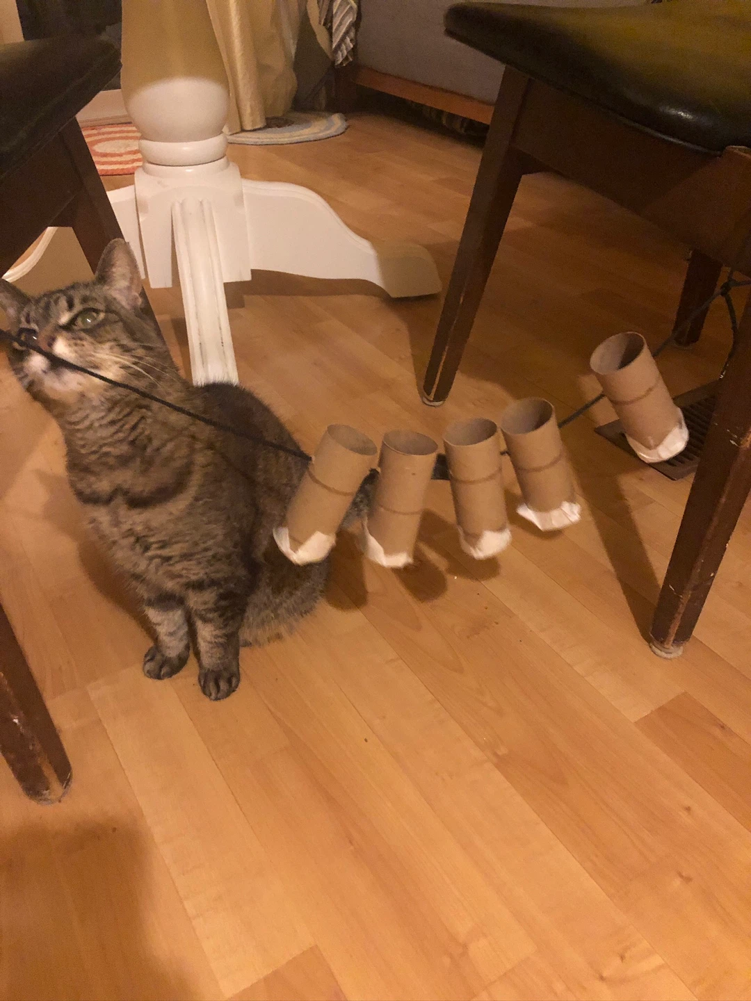 Home made cat toy