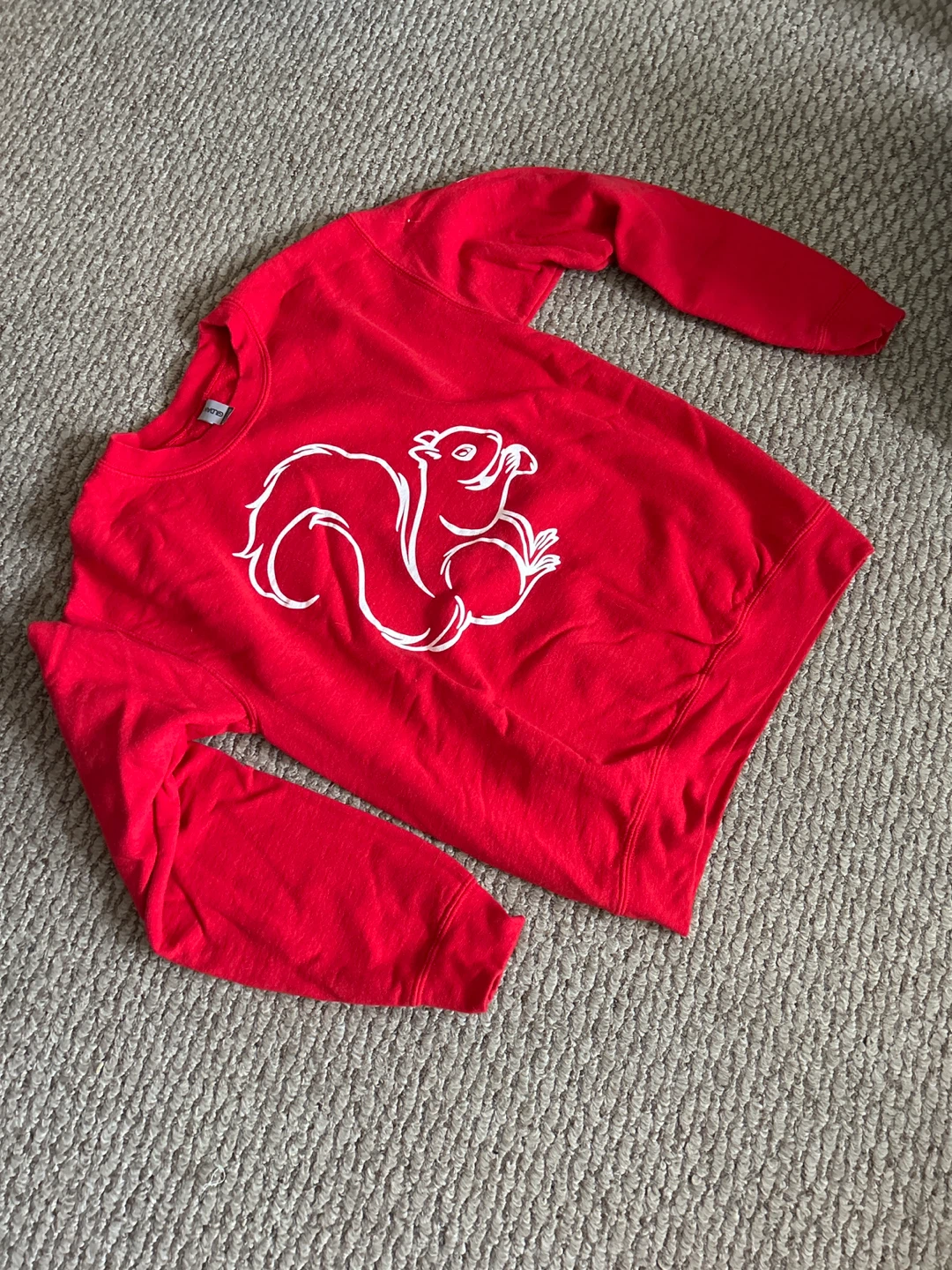 Red Squirrel Graphic Crewneck Sweatshirt
