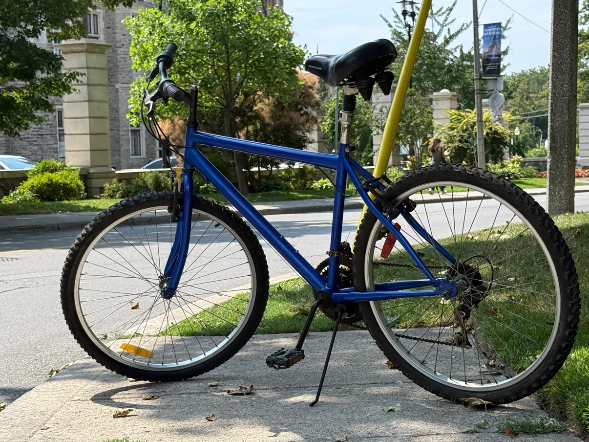 Blue Mountain Bike