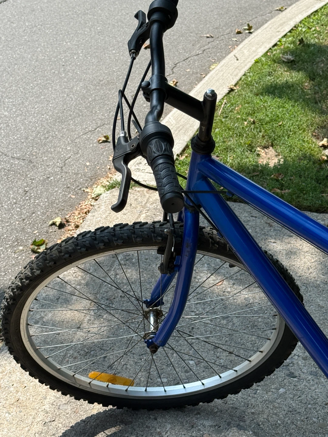 Blue Mountain Bike - photo 2