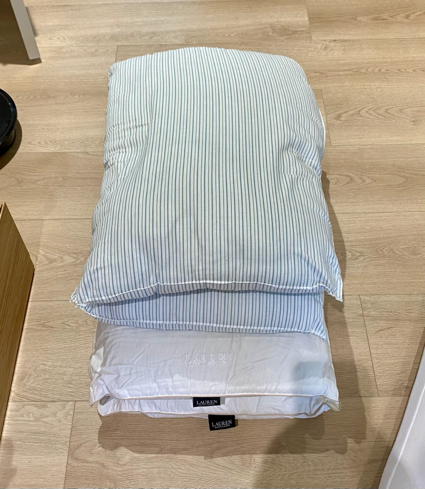 Free Pillows (4)