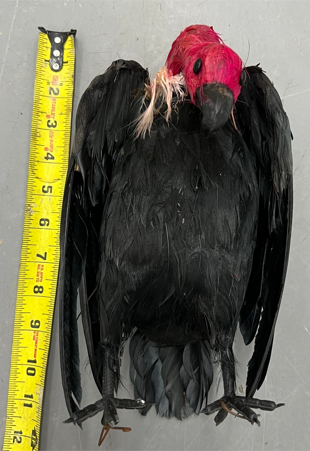 Vintage Halloween Feathered Vulture Prop Lot 4pc Bird Decoration - photo 5