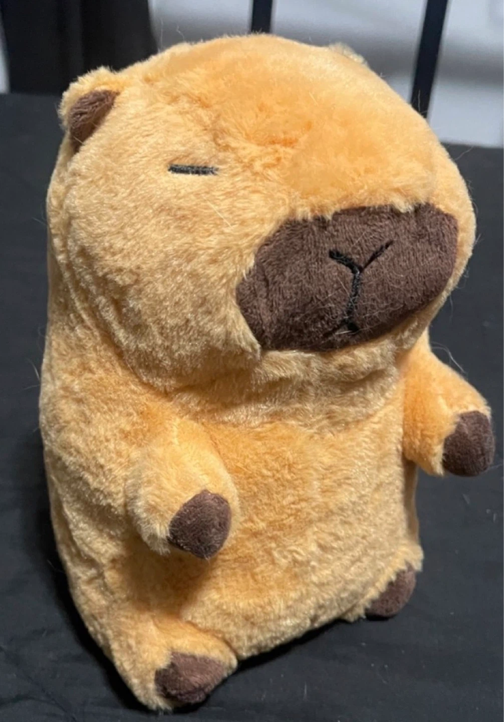 Small Capybara Plush