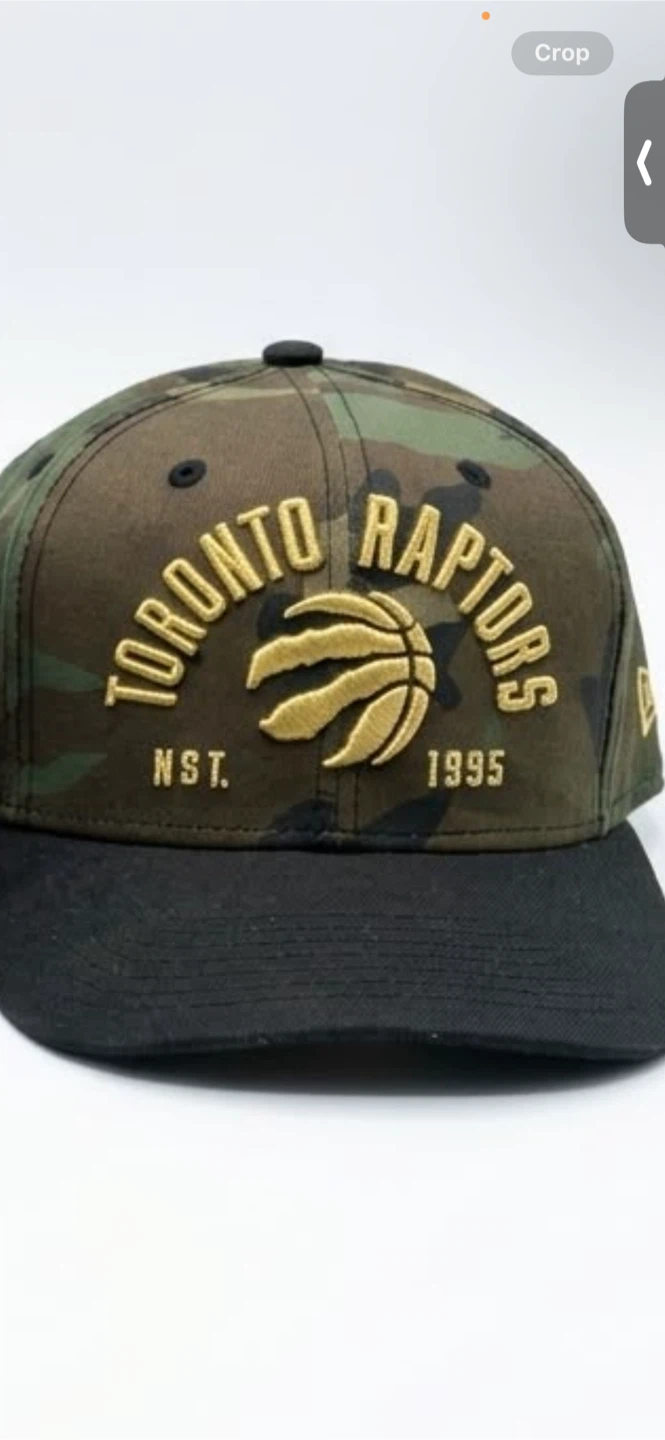 Toronto Raptors Camo Snapback Hat