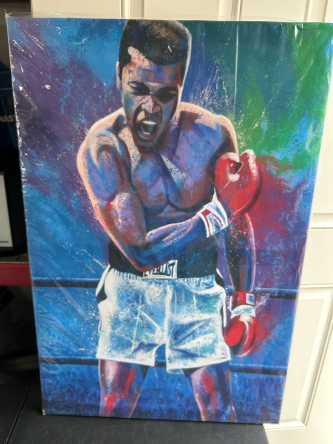 Muhammad Ali Canvas Print