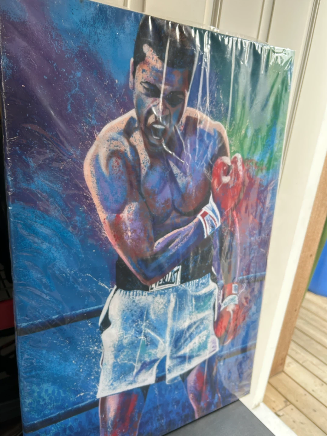 Muhammad Ali Canvas Print - photo 2
