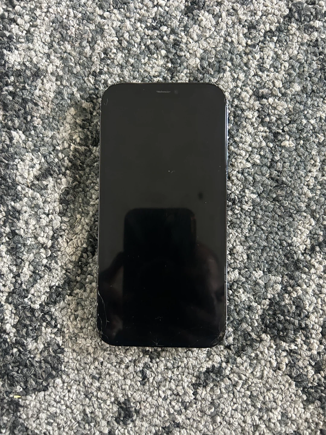 Apple iPhone 12 Pro - photo 2