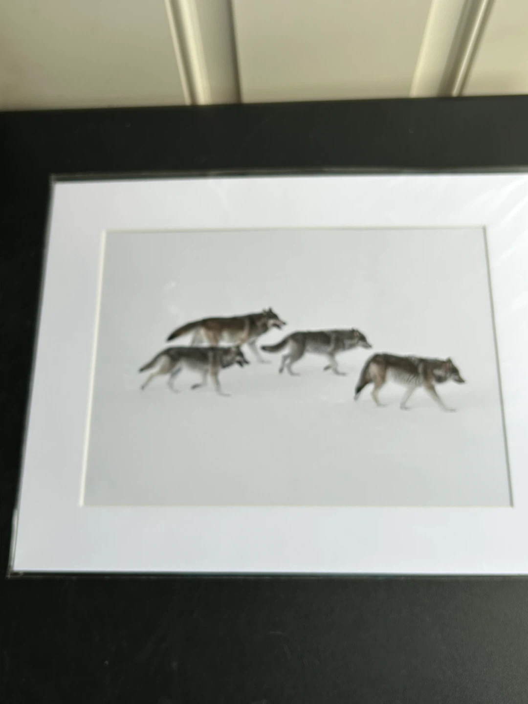 Mountains and Treasures Matted Print - Wolves in Snow