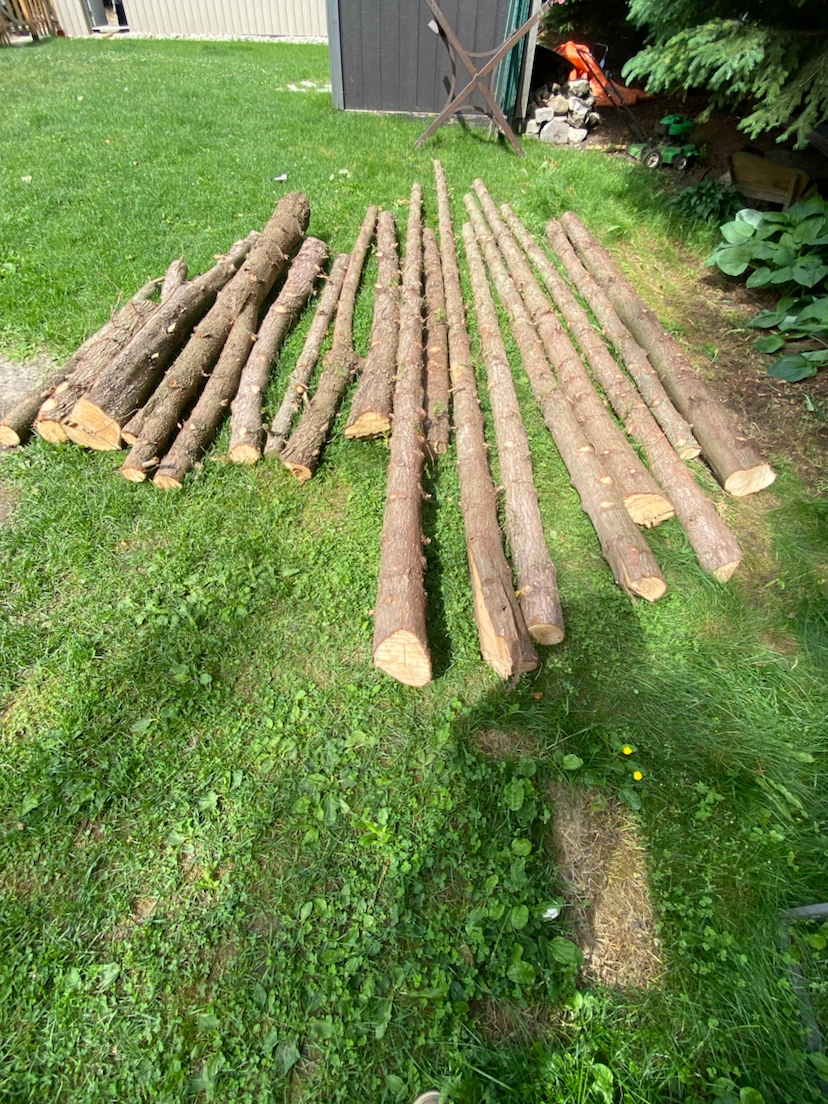 Cedar posts