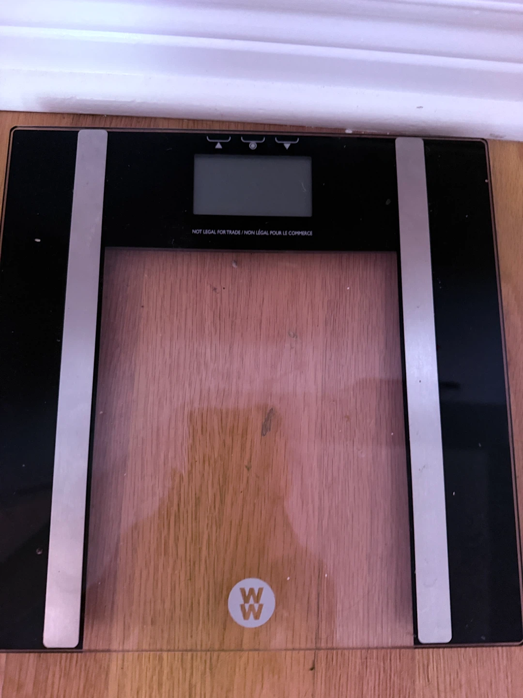 WW Digital Scale