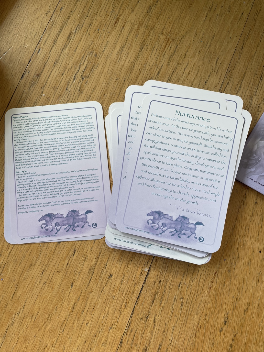 Touched By A Horse Oracle Deck - photo 5