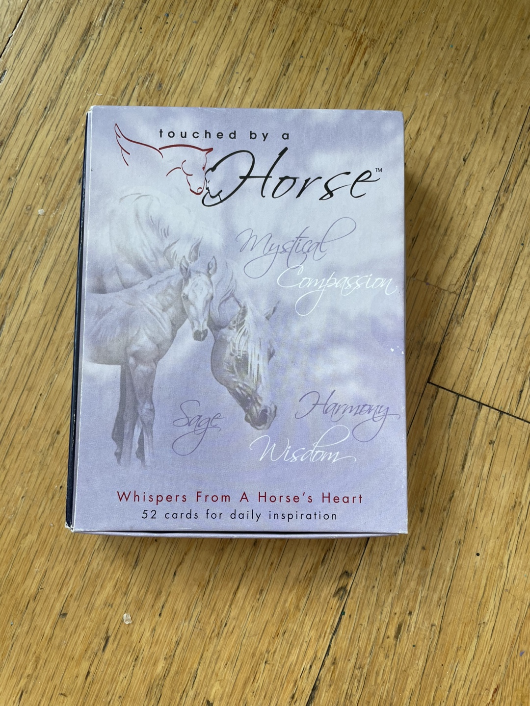 Touched By A Horse Oracle Deck - photo 2
